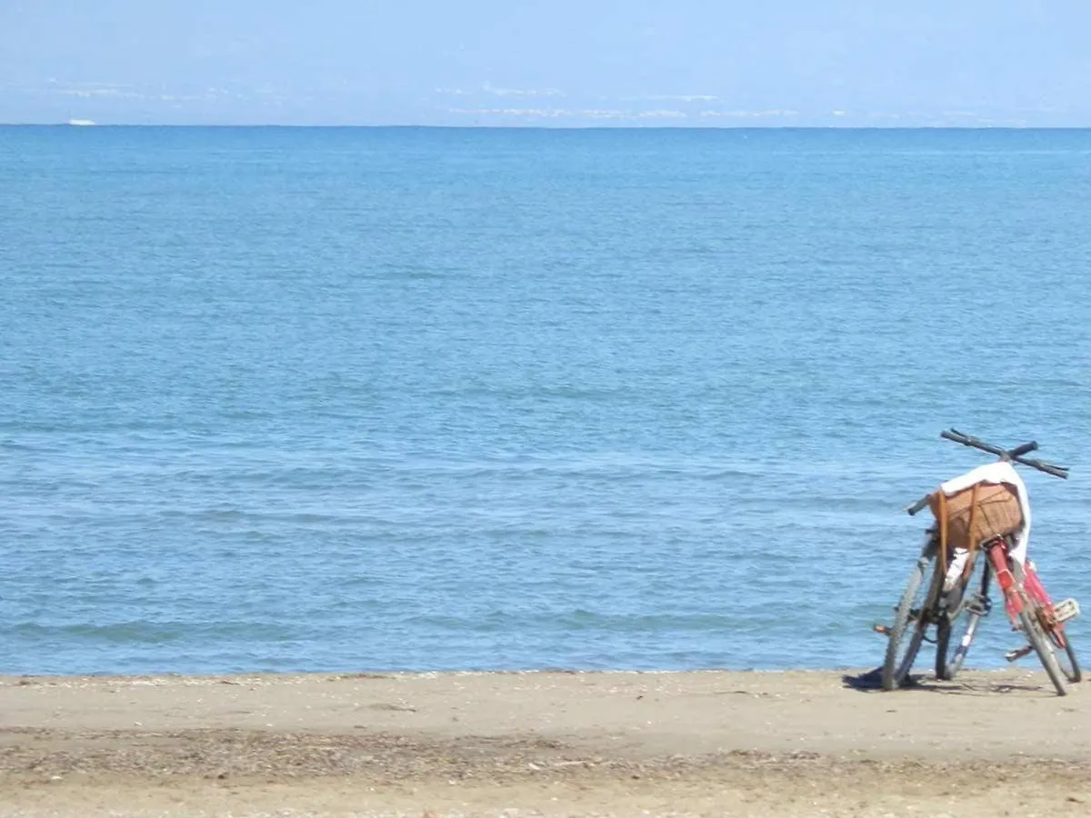 Vacaciones Junto Al Mar: Piscina, Aire Acondicionado, Mascotas Bienvenidas, Playa Para Perros, Wifi Gratis - Es-184-13 Riumar Španělsko